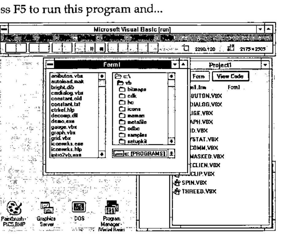 Form1 running, listing files, directories and the drive c: [PROGRAMS]