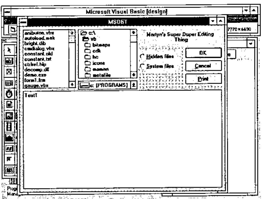 The finished form MSDET: file, directory and drive lists, the 3D caption “Martyn’s Super Duper Editing Thing”, Hidden files and System files check boxes, OK, Cancel and Print buttons, and a large text box Text1
