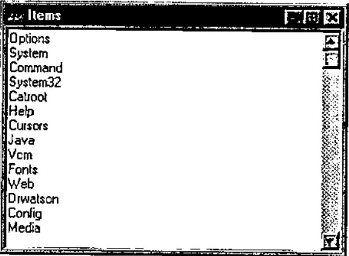 Figure 9: a form headed Items, listing Options, System, Command, System32, Catroot, Help, Cursors, Java, Vcm, Fonts, Web, Drwatson, Config, Media