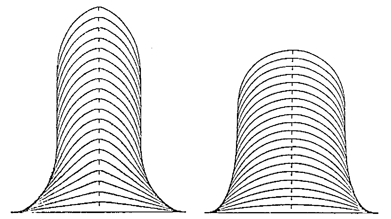 Two simulated root hairs, each drawn as a stack of nested arch-shaped outlines growing upward: the left one taller and pointed, the right one lower and rounder