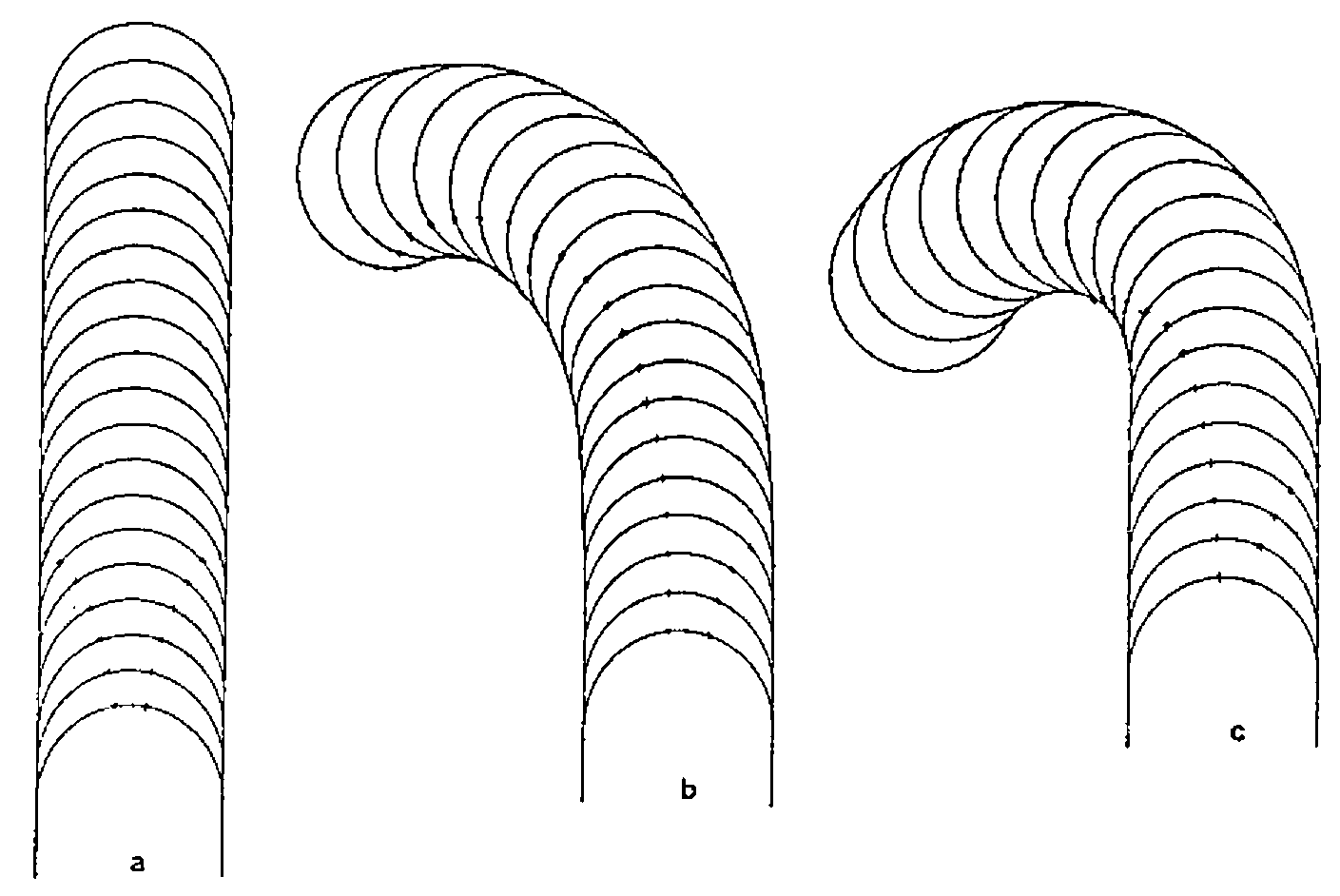 Three simulated root hairs drawn as successive semicircular tips: a grows straight up; b and c bend over to the left, c more sharply