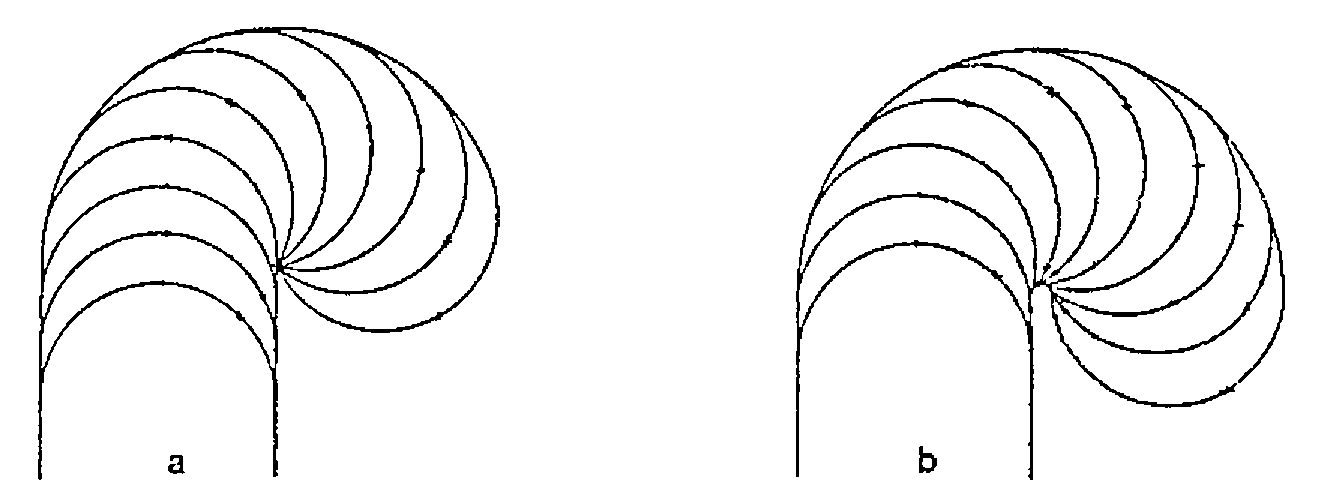 Two simulated root hairs, a and b, whose successive tips curl round to the right into a tight hook, b over a wider range