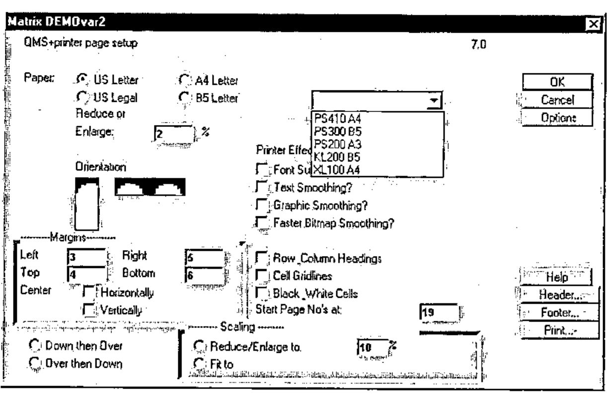 “Matrix DEMOvar2”: a printer page setup dialogue with paper radio buttons, reduce/enlarge field, orientation pictures, margins, printer effects click boxes, a printer list, scaling options and exit buttons OK, Cancel, Options, Help, Header…, Footer…, Print…
