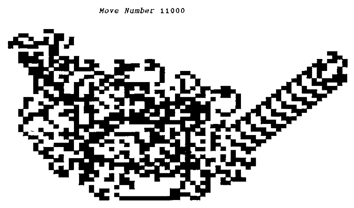 The screen after 11,000 moves