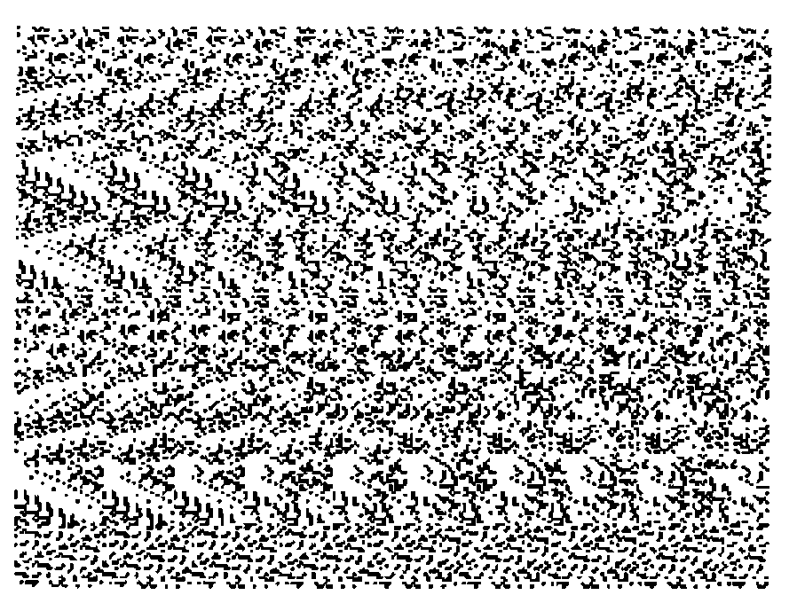 A random-dot stereogram
