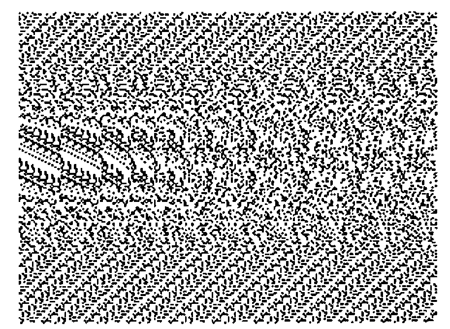A random-dot stereogram