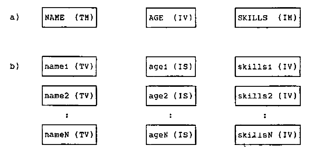 a) three items: NAME (TM), AGE (IV), SKILLS (IM). b) N records of name (TV), age (IS) and skills (IV)