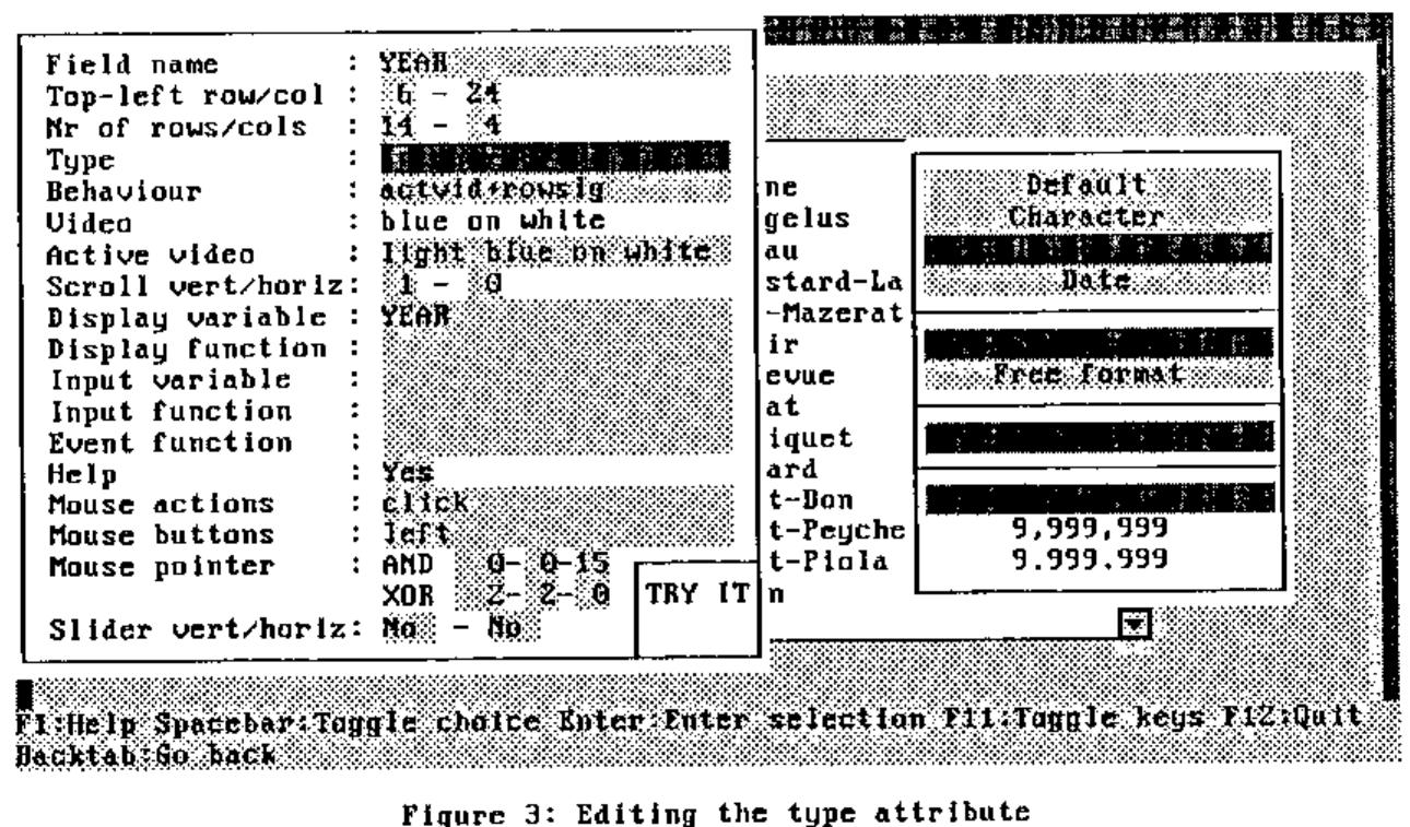 The attributes panel for the field YEAR, listing Field name, Top-left row/col, Nr of rows/cols, Type, Behaviour, Video, Active video, Scroll, Display and Input variables and functions, Event function, Help, Mouse actions, buttons and pointer, with a TRY IT box and Slider settings; a cascading pop-up offers Default, Character, Date and numeric formats