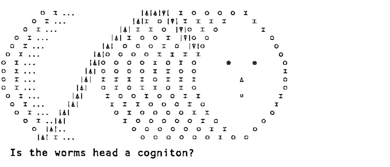 A pariton drawn as a worm curling around a cylinder, with the rightmost column (the cognitons) forming a face: “Is the worms head a cogniton?”