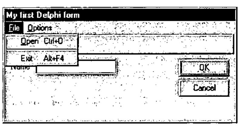 The recreated form with its File menu open, showing Open Ctrl+O and Exit Alt+F4