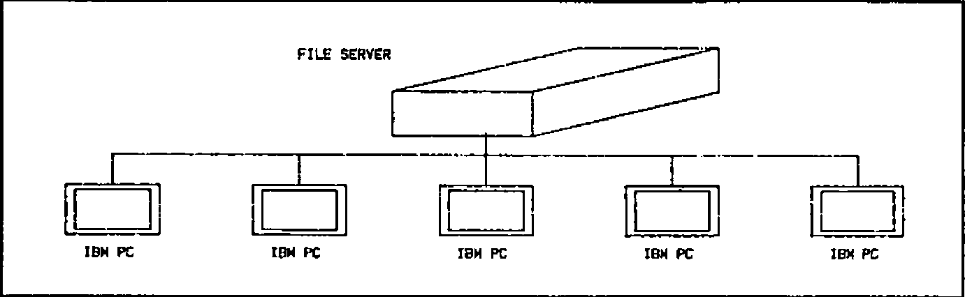 One file server with five IBM PCs attached to it