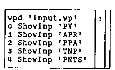 The boxed display of main_file0: wpd 'input.wp' / 0 ShowInp 'PV' / 1 ShowInp 'APR' / 2 ShowInp 'PPA' / 3 ShowInp 'TNP' / 4 ShowInp 'PNTS'