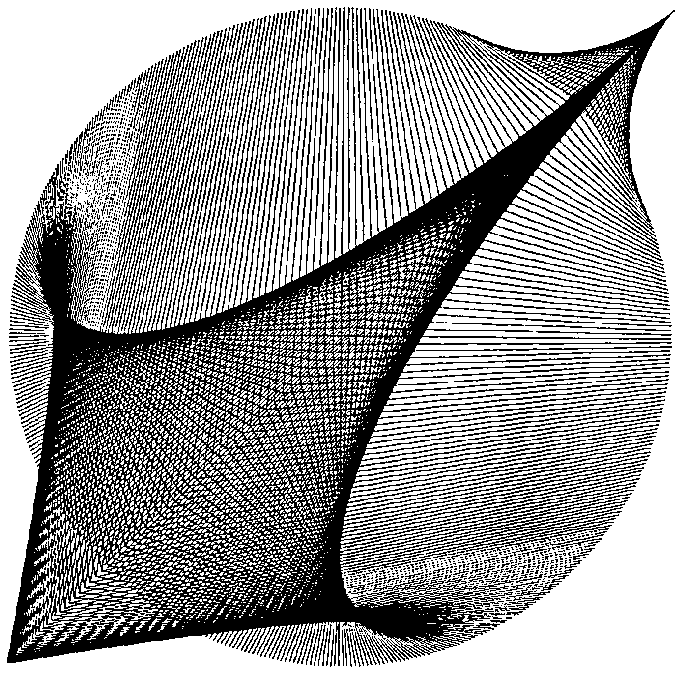 A pattern of several hundred straight lines whose ends trace curves, enveloping a twisted, sail-like surface inside a roughly circular outline
