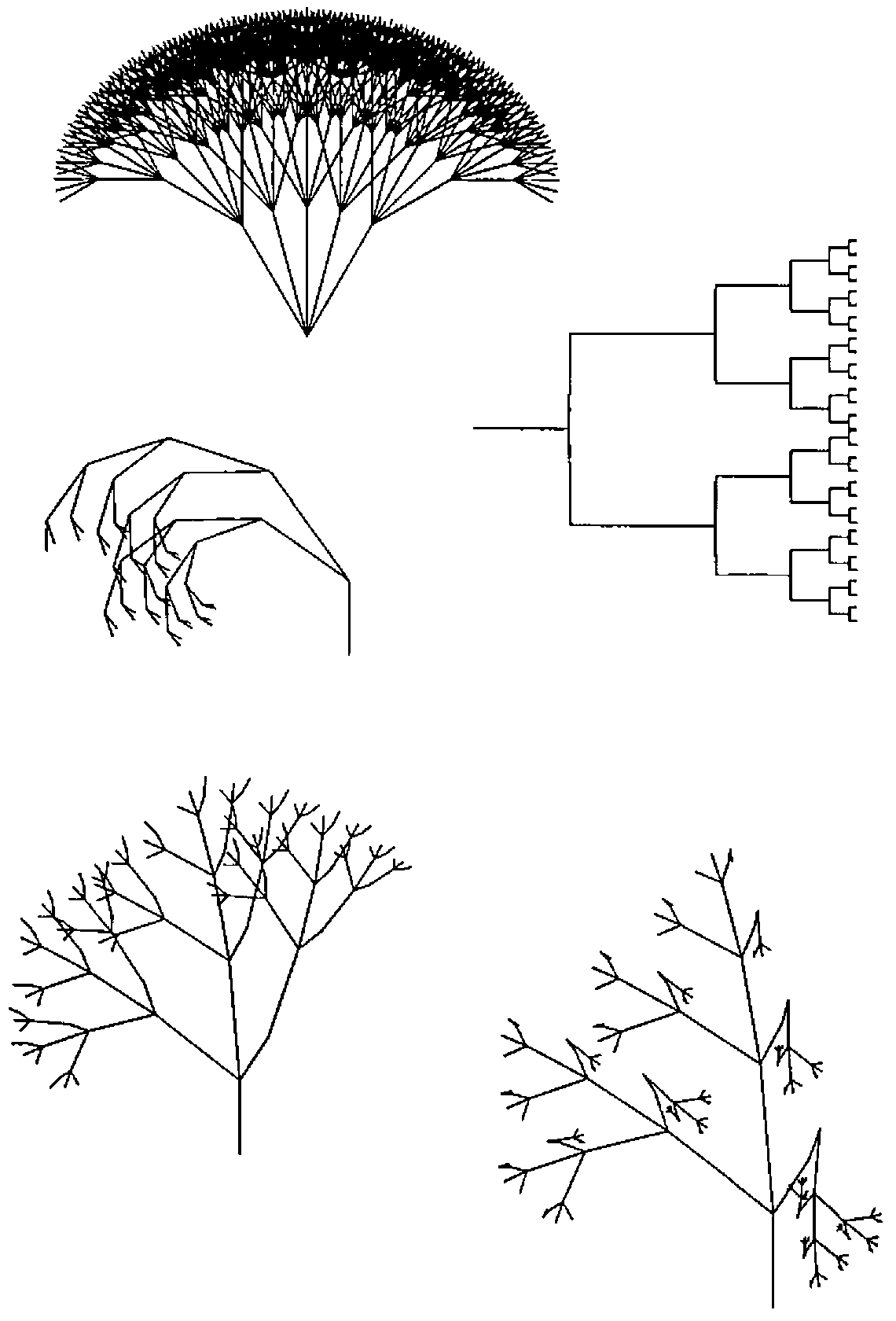 Five trees: a fan of branches, a binary tree, a curled tree and two irregular trees