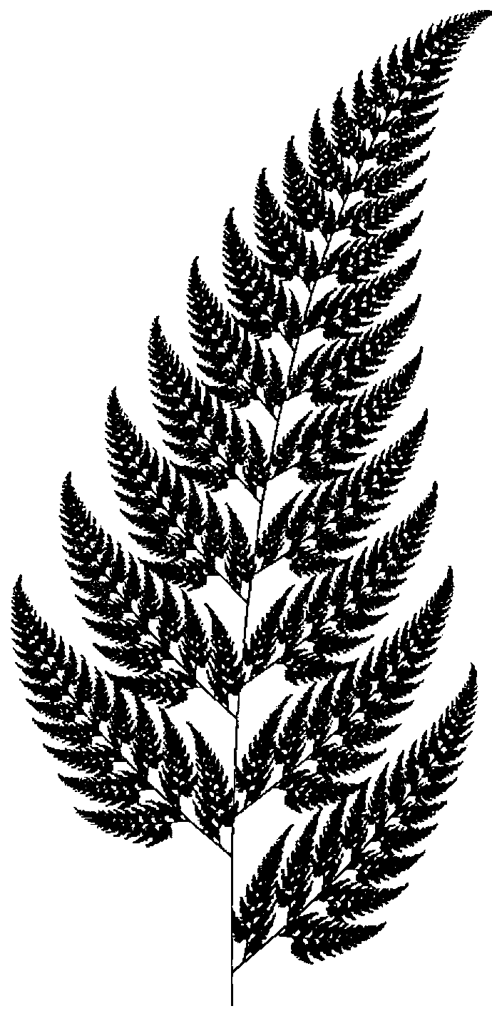 A Barnsley-style fern