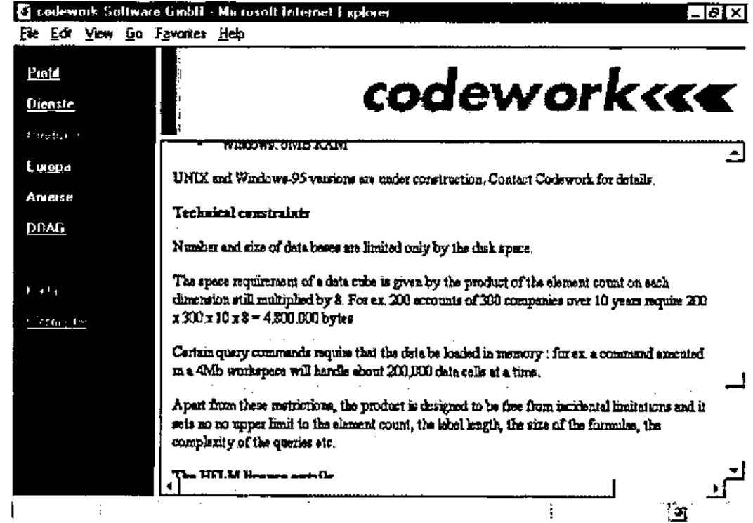 The codework Software GmbH page: a navigation bar, the codework logo, and notes on technical constraints of their product