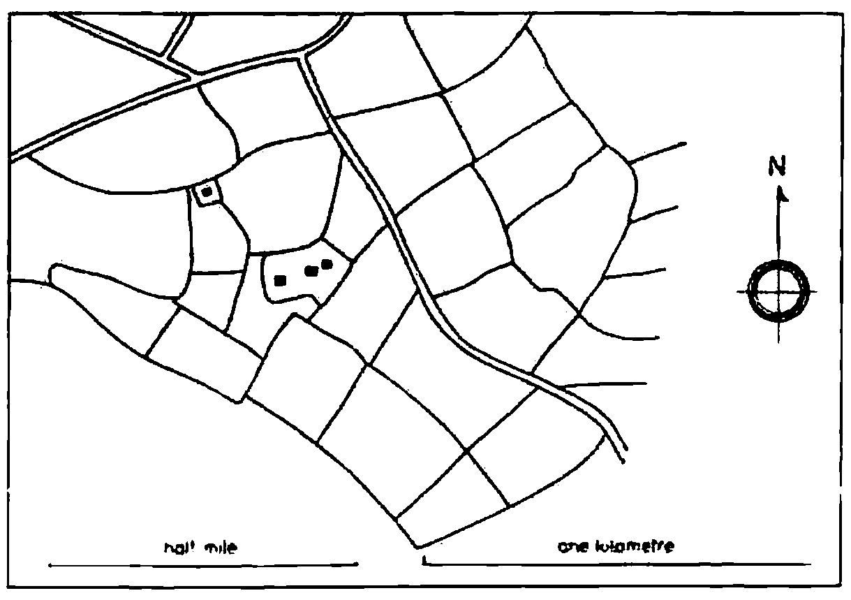 Map of fields of similar size with gently curved boundaries, radiating from a farmstead beside a lane, with scale bars and a north arrow