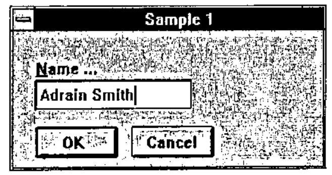 Sample 1 with the Name field reading “Adrain Smith”