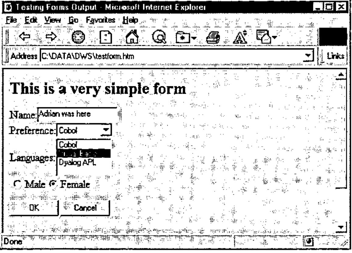 The form with Name, a Preference drop-down set to Cobol, a Languages list with Visual Basic selected, Male and Female radio buttons with Female set, and OK and Cancel buttons, all crowded together