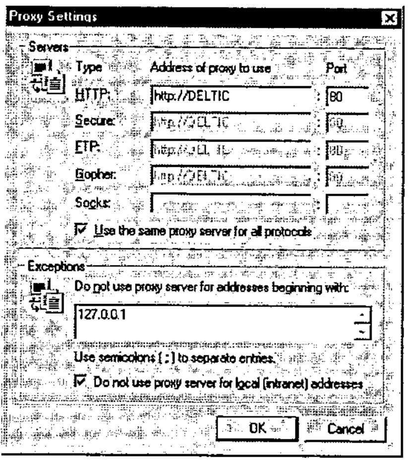 The Proxy Settings dialog: HTTP proxy http://DELTIC port 80, “Use the same proxy server for all protocols” checked, and the exception list “Do not use proxy server for addresses beginning with: 127.0.0.1”, with “Do not use proxy server for local (intranet) addresses” checked
