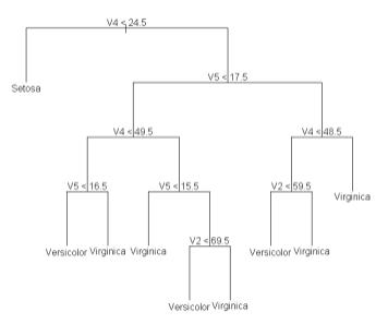 tree diagram