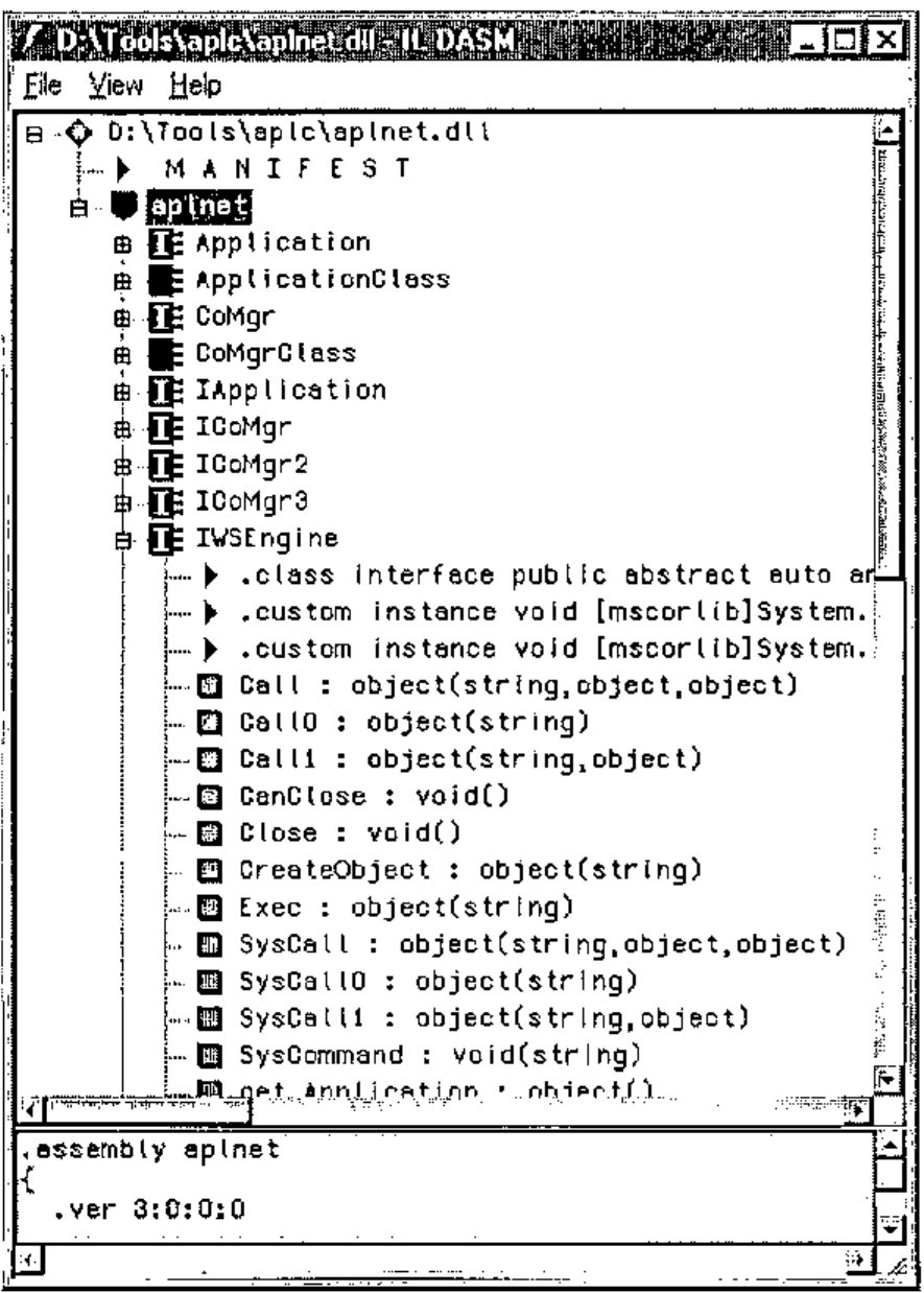 IL DASM showing aplnet.dll: the IWSEngine interface with Call, Call0, Call1, CanClose, Close, CreateObject, Exec, SysCall, SysCall0, SysCall1 and SysCommand
