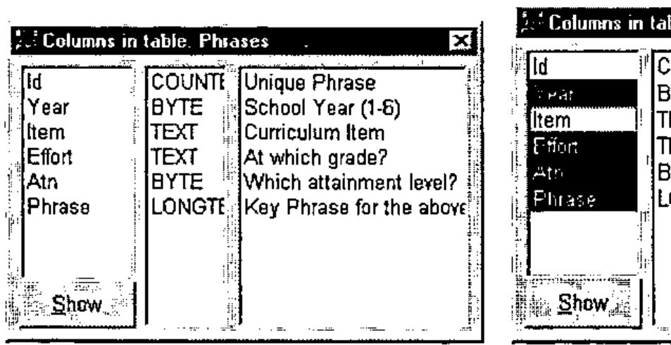 Two Columns in table: Phrases windows. The first lists Id, Year, Item, Effort, Atn and Phrase with their types and descriptions; the second has Year, Effort, Atn and Phrase selected