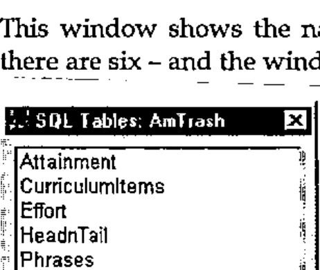 The SQL Tables: AmTrash window listing Attainment, CurriculumItems, Effort, HeadnTail, Phrases and Subjects