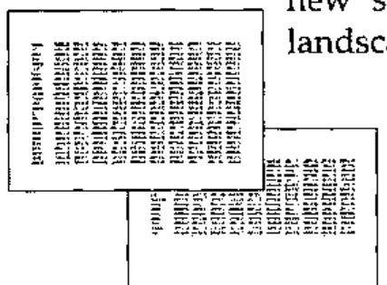 Thumbnails of two landscape pages carrying a large table