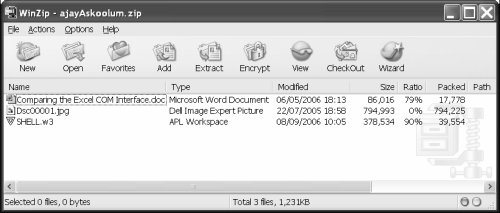 Opening with WinZip