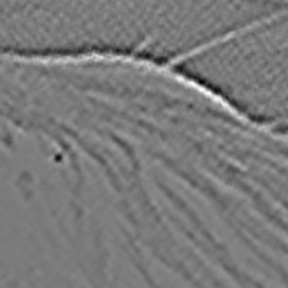 fig. 14