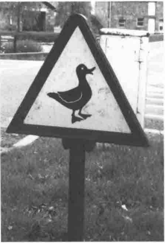 Photograph: a red warning triangle with a duck on it, on a post in the University grounds