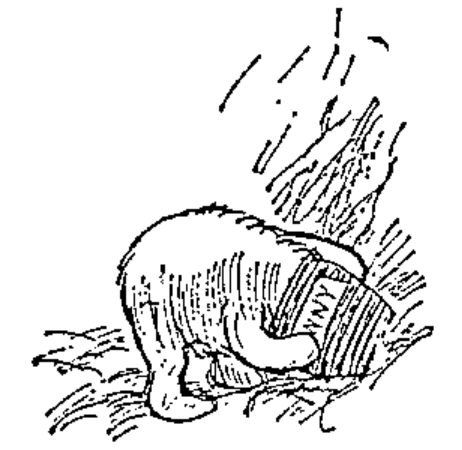 Pooh with his head stuck in a honey jar (illustration by E.H. Shepard)