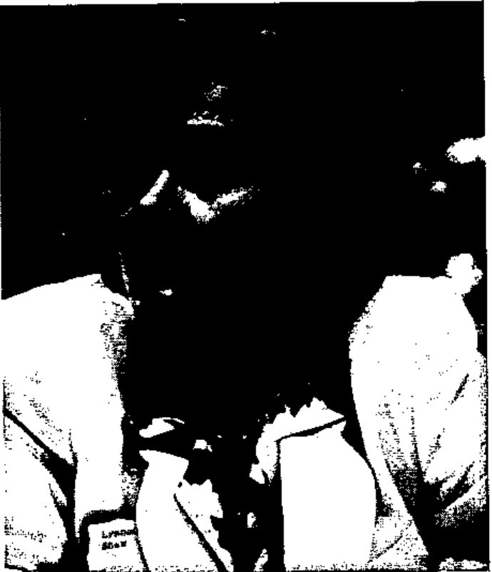 Dark, high-contrast photograph of Lynne Shaw, wearing a name badge